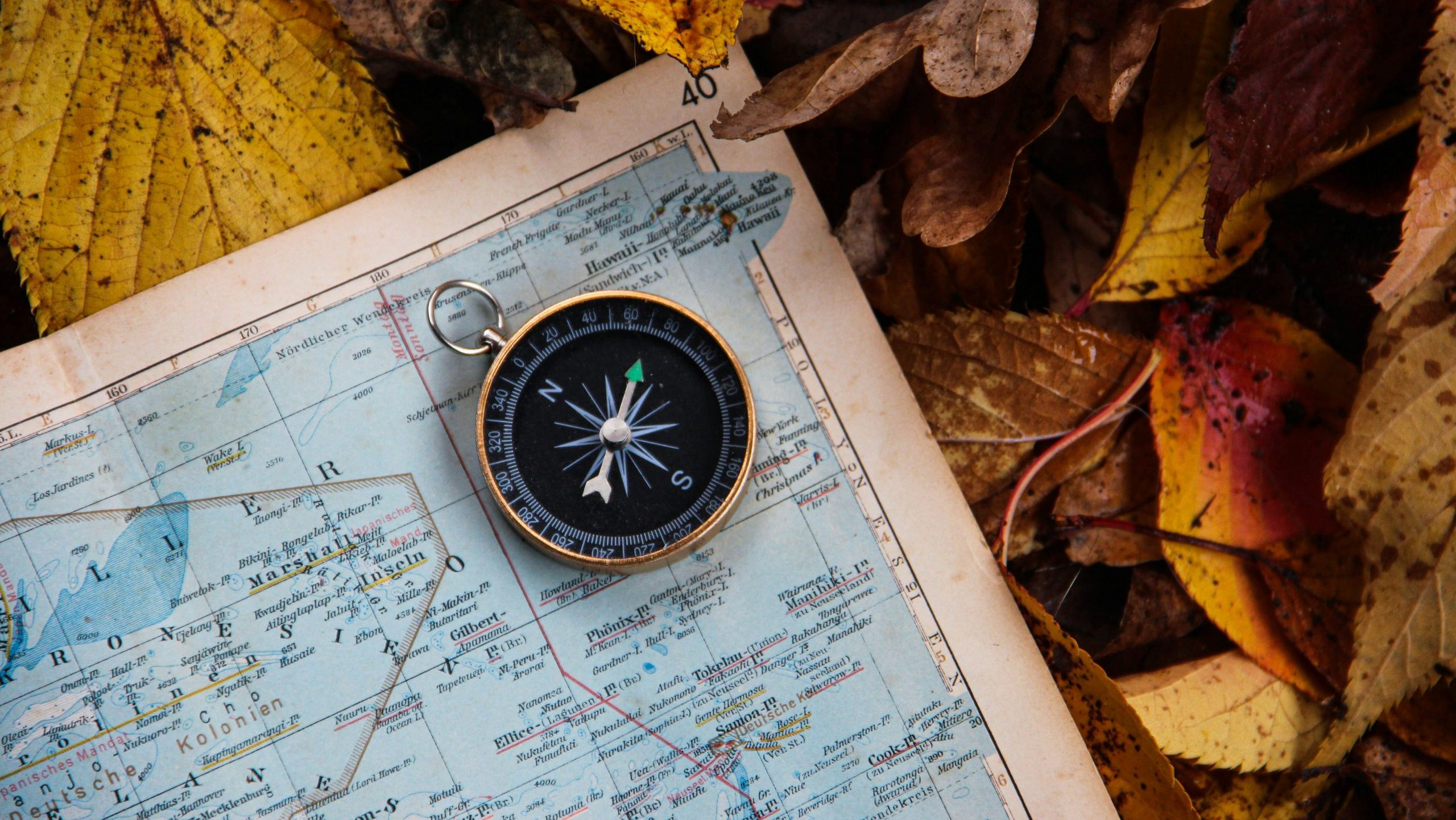 Photo by Denise Jans on Unsplash.